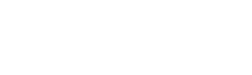 Welsh Government